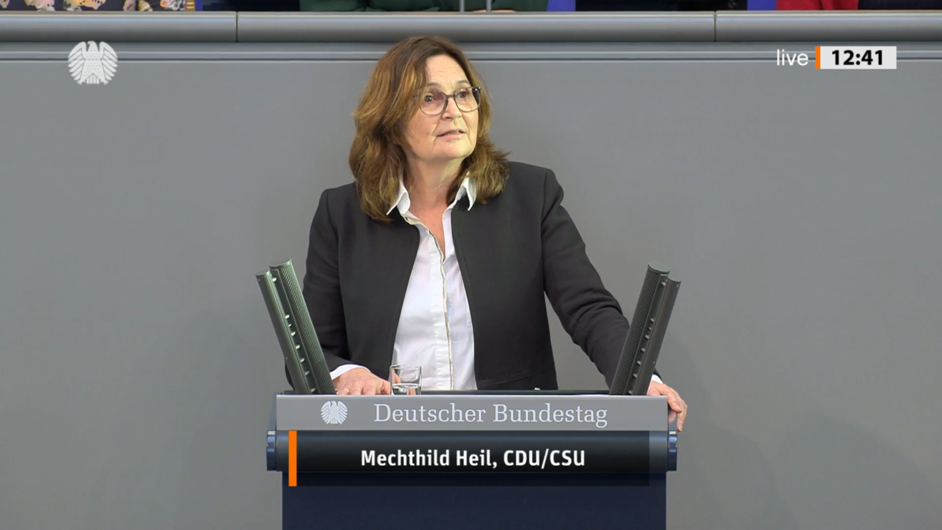 Rede Plenum Eziden2